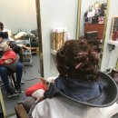 댕댕이 머리하는 날 이미지