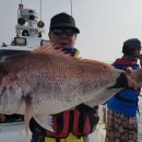 장고도6 이미지