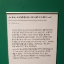 라스트샵