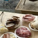 경기도 포천 가성비 카라반 추천 / 클럽프라비다 카라반 B6 후기