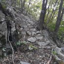 기룡산 등산로1 이미지