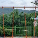 파평초등학교 이미지