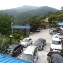 양지민박 이미지