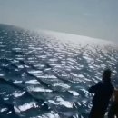 바다랑파도랑 이미지