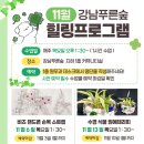 늘푸른한방병원 이미지