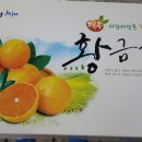 황금향 이미지