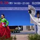 코스모스악기 이미지