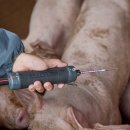 가교축산 이미지