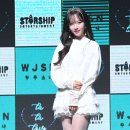 보나의밤