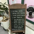멍멍아 준비땅 이미지