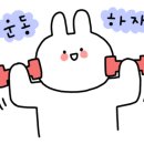 아워러스 이미지