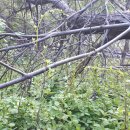 왕성농장 이미지