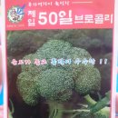제일종묘사 이미지