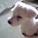 (주)큰집 이미지