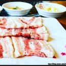 진미돈가