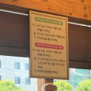 경복궁개성손만두 - 남양주시 가운로 31 | 용인 만두전골 샤브샤브 경복궁개성손만두 방문후기 내돈내산