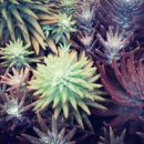 봉일농장 이미지