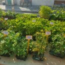 충남농약사 이미지