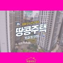 땅콩부동산공인중개사사무소 이미지