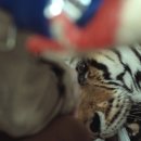 유동물원 이미지