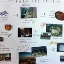 윤건축사사무소 - 괴산군 읍내로11길 22 | 윤건축사사무소
