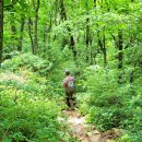 나무쉼터 이미지