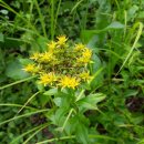 기린초등학교 이미지