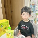 배도라지즙 효능 아이 환절기 관리는 파이토뉴트리 이트뮨 배도라지주스