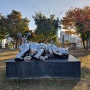 로마관광나이트 이미지