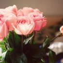 아동복지론 이미지