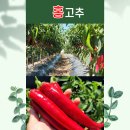 홍양농장 이미지