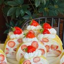 삼일체육사 - 강진군 중앙로 123 | 삼일체육사