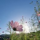 (주)남영전기 이미지