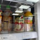 [농협] 한라봉 제주감귤 내돈내산 솔직후기😋🤸‍♀️🙋‍♀️