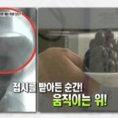 효오니(HyoOni) 네이버블로그