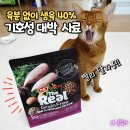 모두펫그룹 - 김해시 내외중앙로 137 | 좋은 고양이 사료 추천, 육분 없는 생고기 40% 더리얼 캣 크런치 그레인프리 닭고기 어덜트 급여 후기