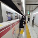 수정텔레콤 | [Tour] #146/#147.마이리얼트립 어린이 도슨트 후기/#84/#85.일본과학미래관 연속 도슨트