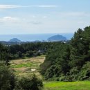 제주평안부동산중개사무소 | 공시지가 이하! 서귀포 상효동 '우리들골프장' 인근 묘지 임야 356평