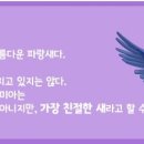 파랑새스토어