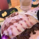 섬마을포차 | 평택역 먹자골목 횟집 섬마을 포차 대방어회 솔직 후기