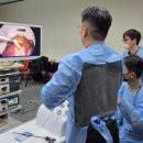24시 핸즈동물의료센터 네이버블로그