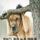 심각한 군부대 해체 이미지