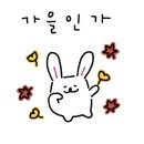 망고펫살롱 이미지