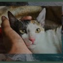 옥계해변관광지 이미지