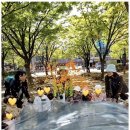 늘푸른몬테소리어린이집