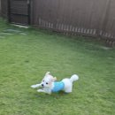 바우하우스 105 이미지