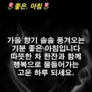 좋은하루 이미지