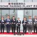 어썸 페어링 플랜트 뉴데일리