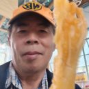 전북특별자치도산림박물관 이미지