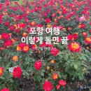 영일대 용가리 오락실 | 포항 여행 어디갈지 고민이라면? 알차게 다녀온1박2일 코스 추천